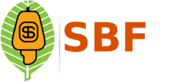logo_white